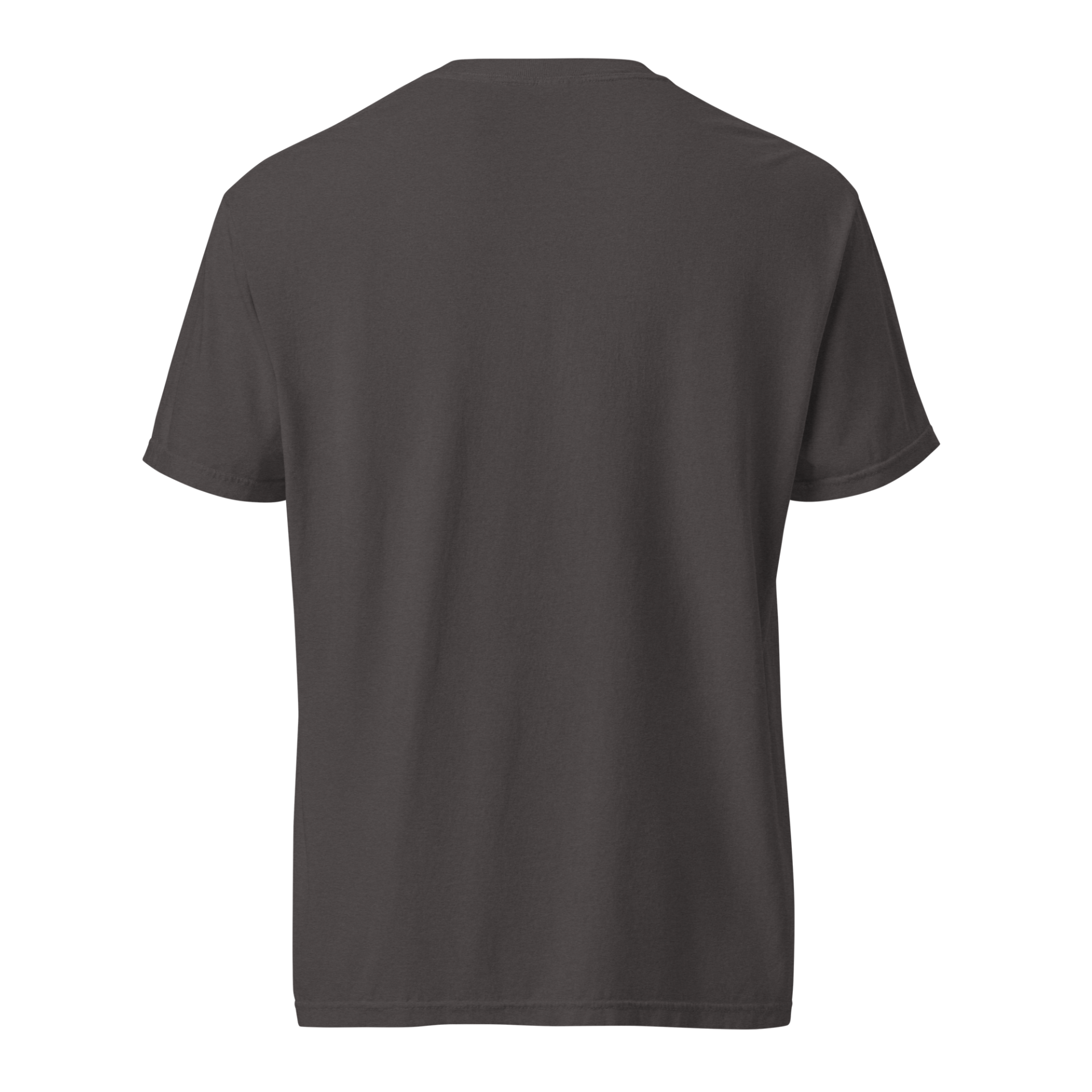 Seek And Share Joy | White | Washed Heavy Tee - Image 6