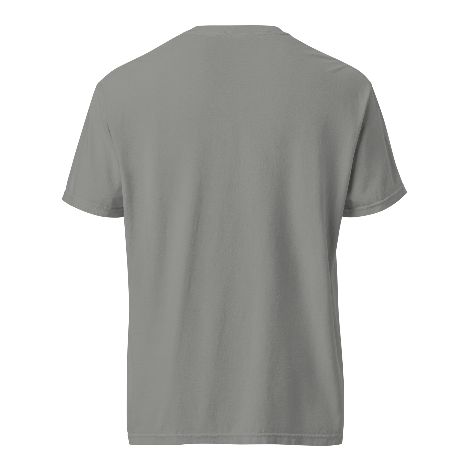 Seek And Share Joy | Black | Washed Heavy Tee - Image 4