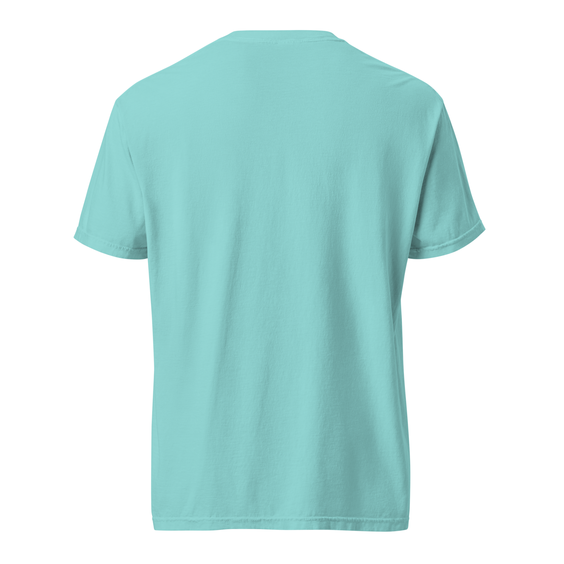 Seek And Share Joy | Black | Washed Heavy Tee - Image 12
