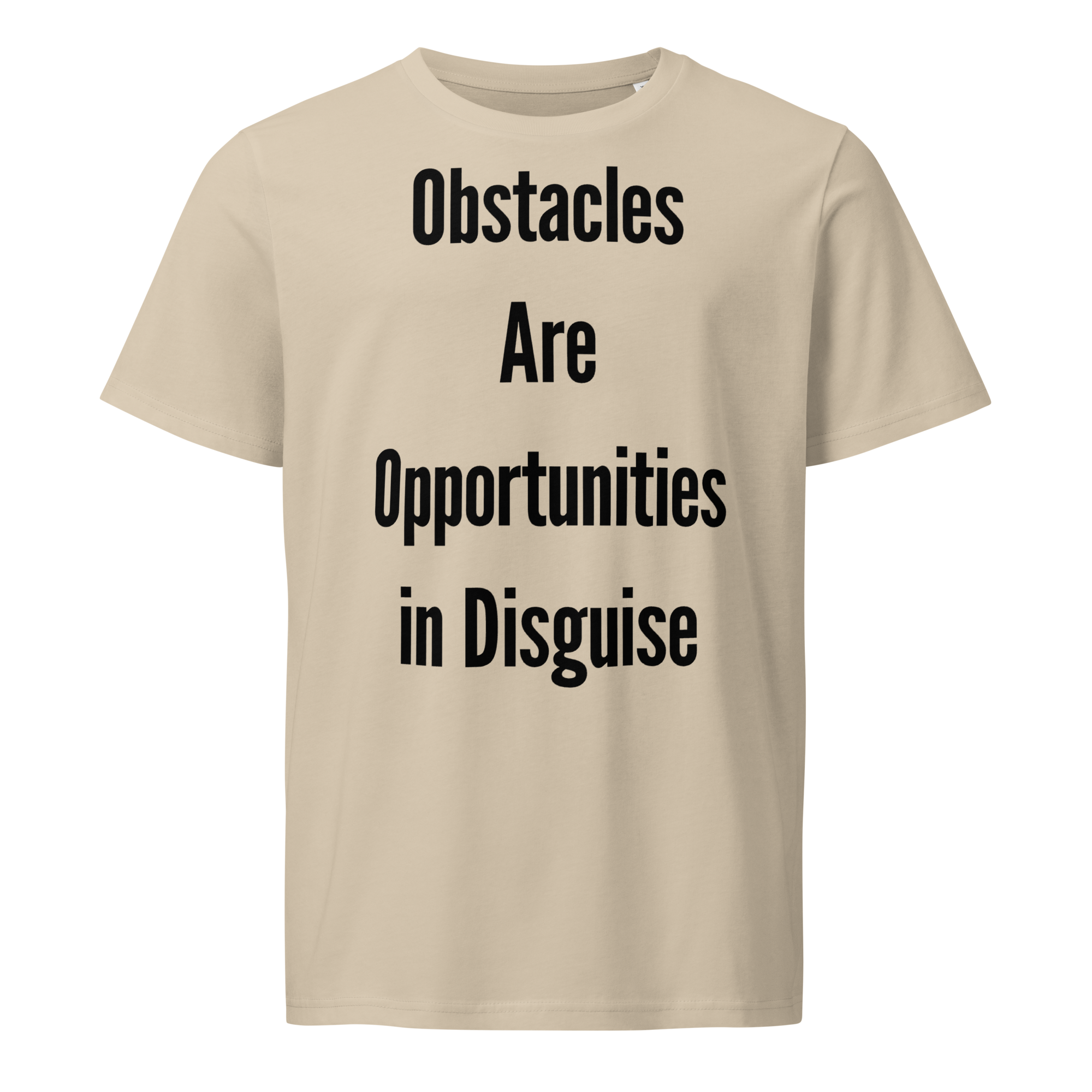 Obstacles Are Opportunities In Disguise — Desert Dust